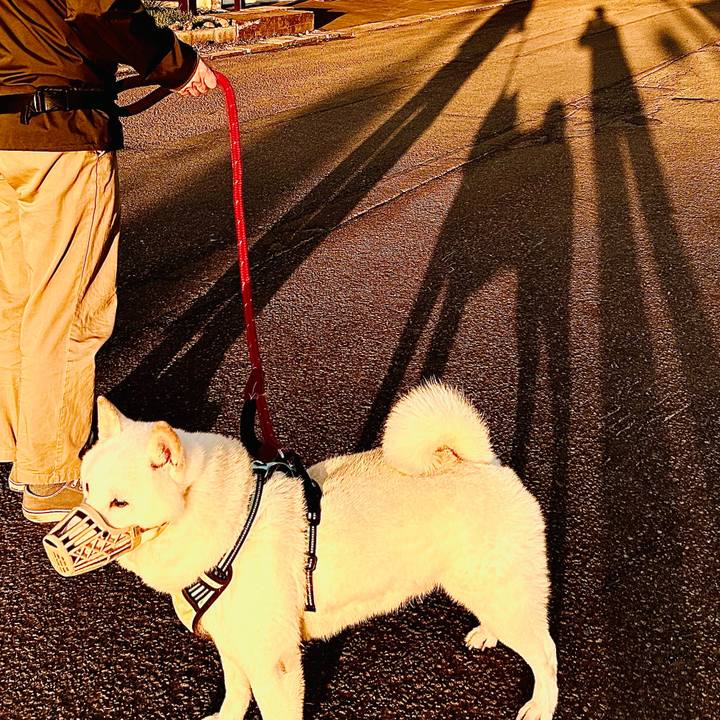 75928a63 46e6 4eec 9fec f376d5807957 1696974537882