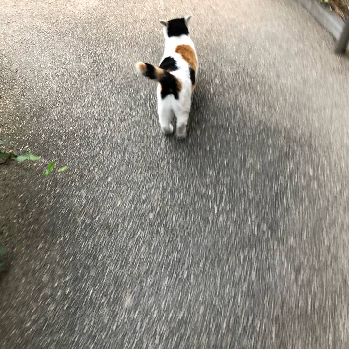 75929423 09da 443b 97d0 3444847af79e 1604615022552