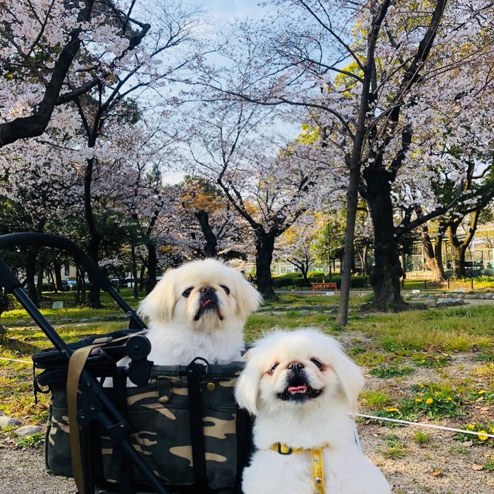 7592a1f5 2c72 4996 804b afed20714dc7 1616583767522