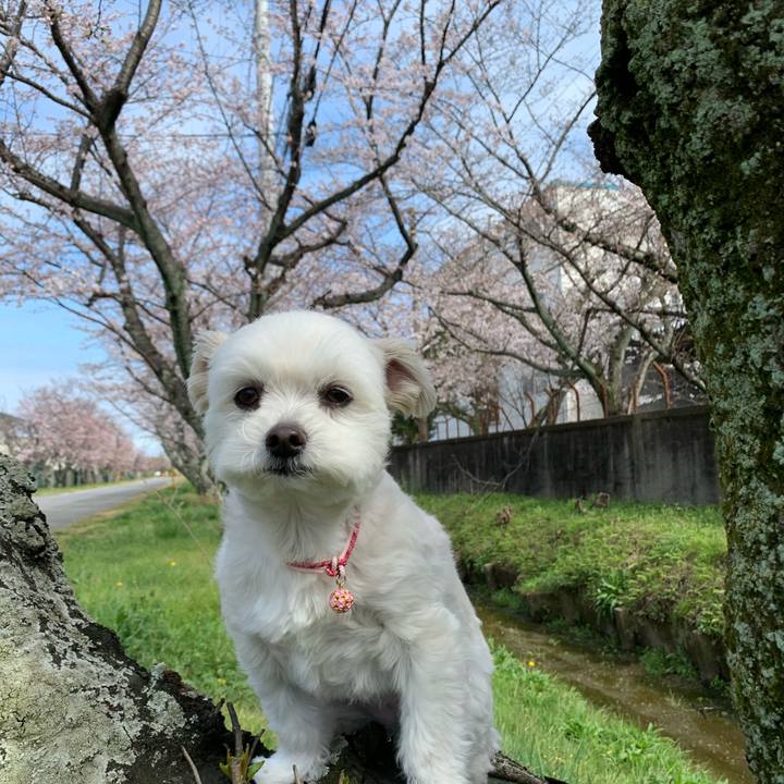 7592a8df b79b 4347 ba07 07923b200ca1 1585478572748