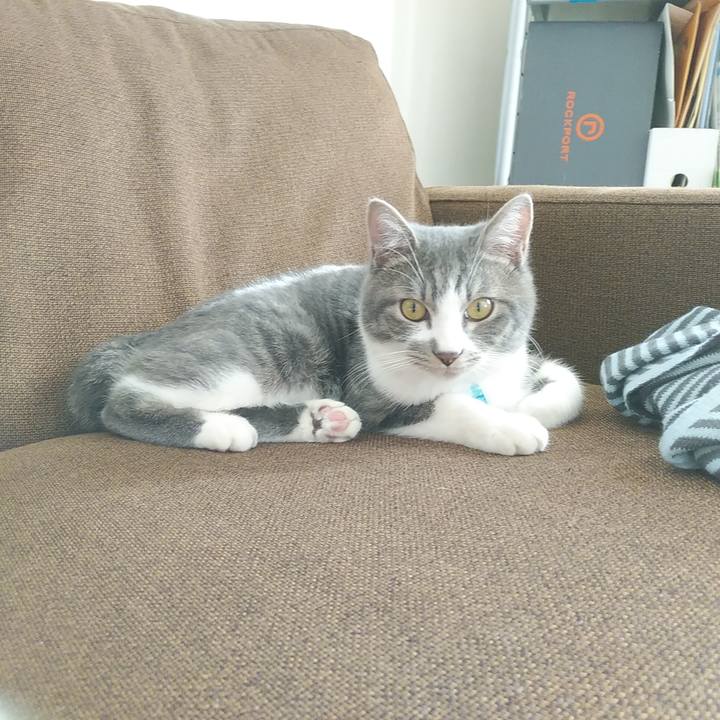 7592b1a6 a1ec 41ee bbb4 435af53935ed 1576817014055