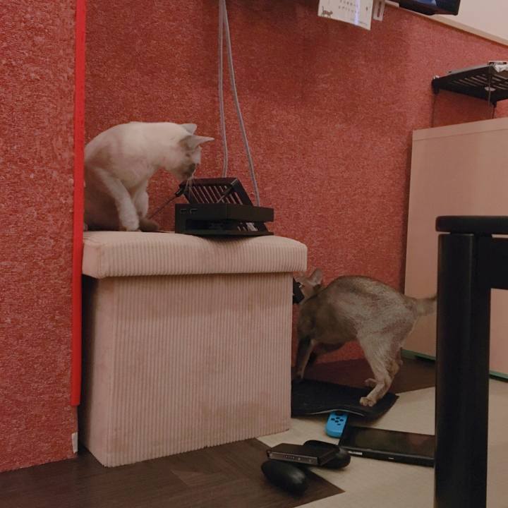 75931a1c 5221 4135 a37c e84c0f11b1f2 1563803897078