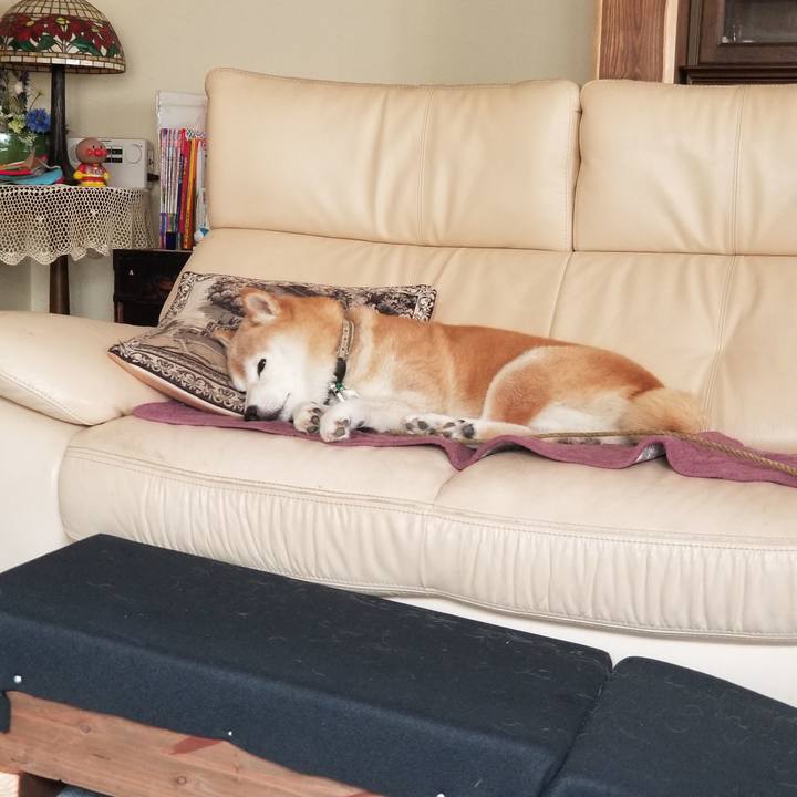 759334b9 57f4 4031 8459 44a6f51a7266 1695182984952