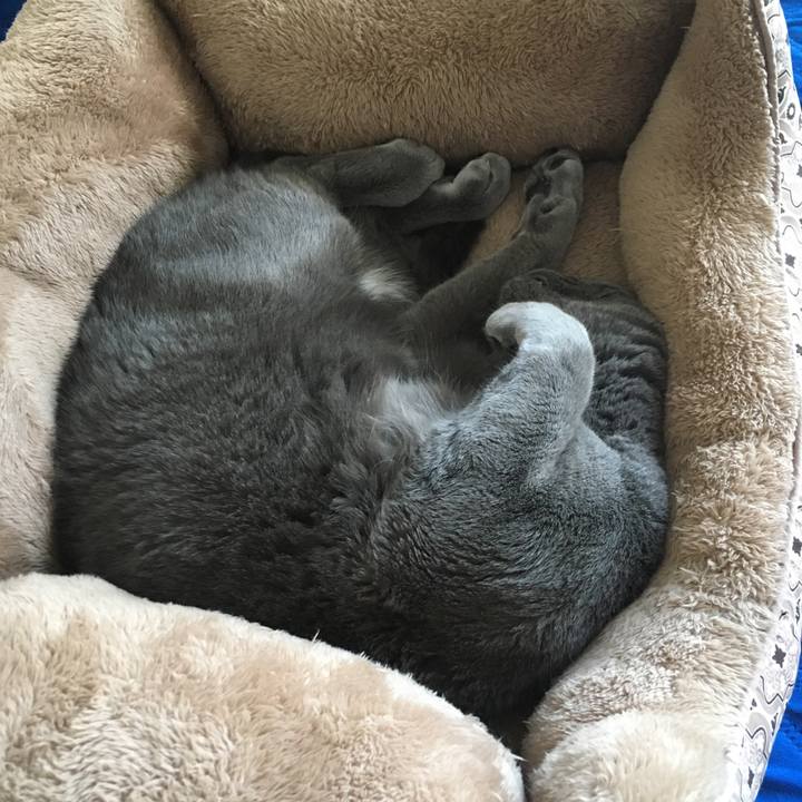 7593505a d9e9 4514 9db7 5e8d7e4deb2c 1636263900501