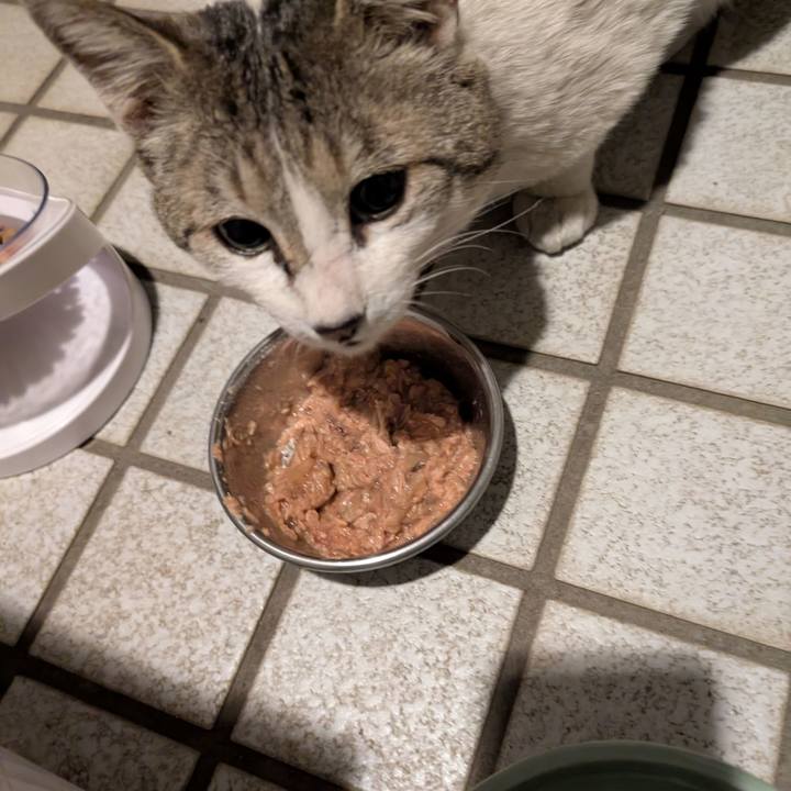 759354a1 99e3 4eae a5e6 49436acdf935 1744726534990