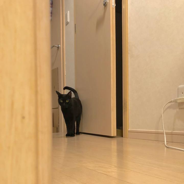 759391c8 9e21 4f1f 8af6 14d73a24b4a4 1527857253360