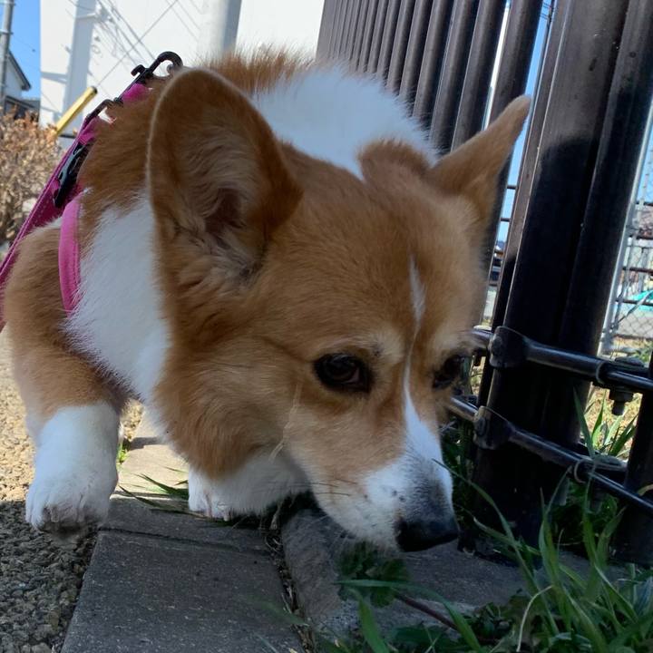 7593b096 12bc 4d42 8f5b 0a9dc0c5e66b 1612757954519