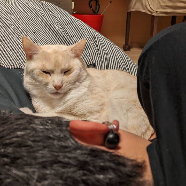 7593e280 803a 44d9 85e7 17c3b7c72364 1710588805207