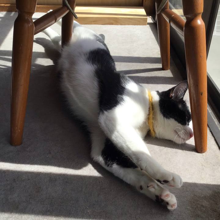 7594193c 3b11 41c3 a43a 33c9d34713b1 1648446056970