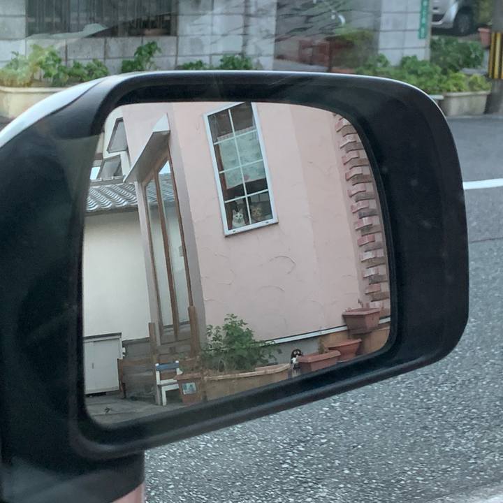 75942c3e c25b 4eee adc6 708217f25b8f 1598610218014