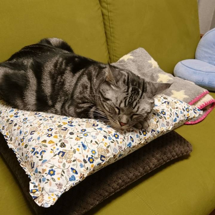 75943932 63e9 45f4 aa62 057349747038 1508760011306