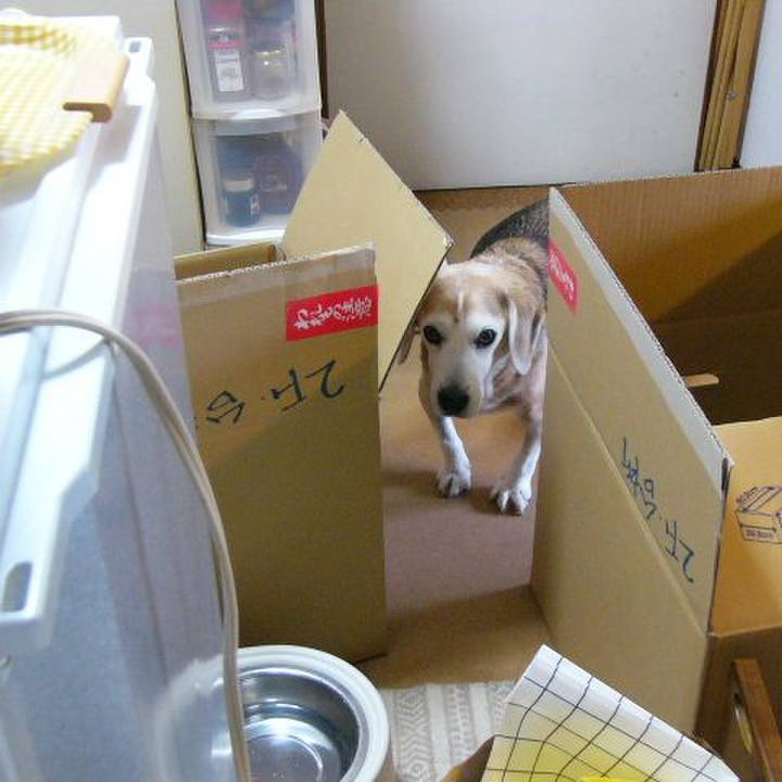 75947f44 5a1f 4d96 a000 338bcc3849b6 1685149517452