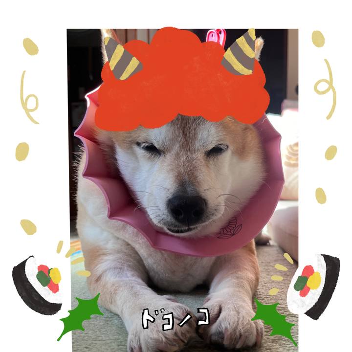 7594b8ad 14bb 4adc 9d0e 32c6357e7a1f 1706832452807