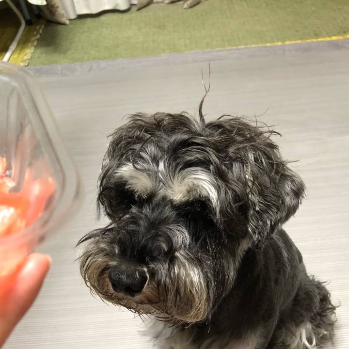 75950481 3d62 4532 be04 efe4aaafa144 1562670681860