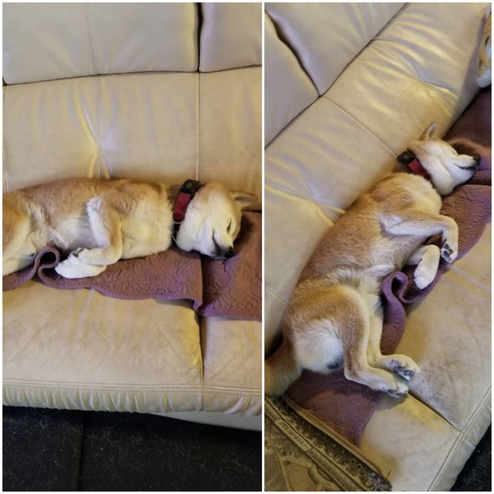 75952cd6 7b26 48af a2d6 ab5d95fced63 1762385870847