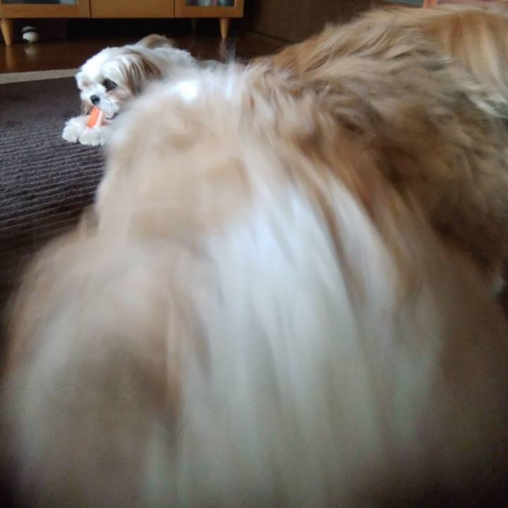 759535b1 383d 4cc6 b011 a7b081ee49b9 1553420715912