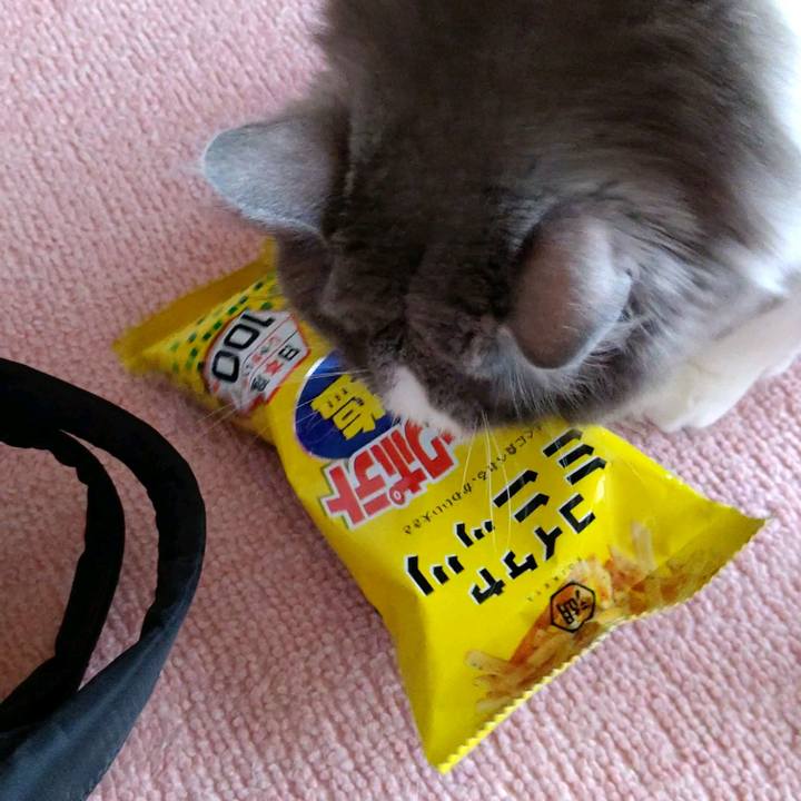 75953a4b 15bc 4b7d 8d4d cd081bf4b0b4 1599906764730