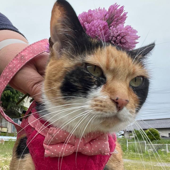 75954ea0 cc07 4aaa 898b a6587af762ab 1685055295285