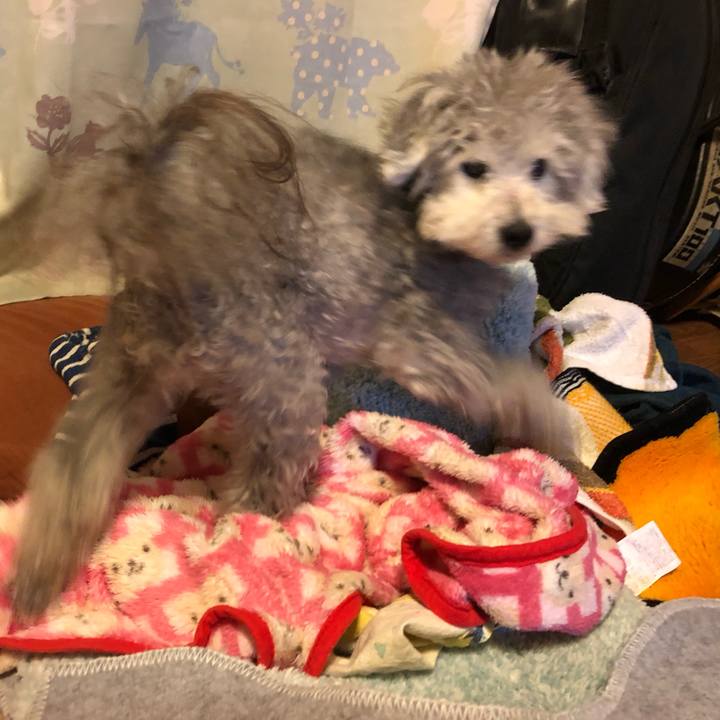 7595509a 0063 4bff 8ff0 5f7e1431b312 1552913120570