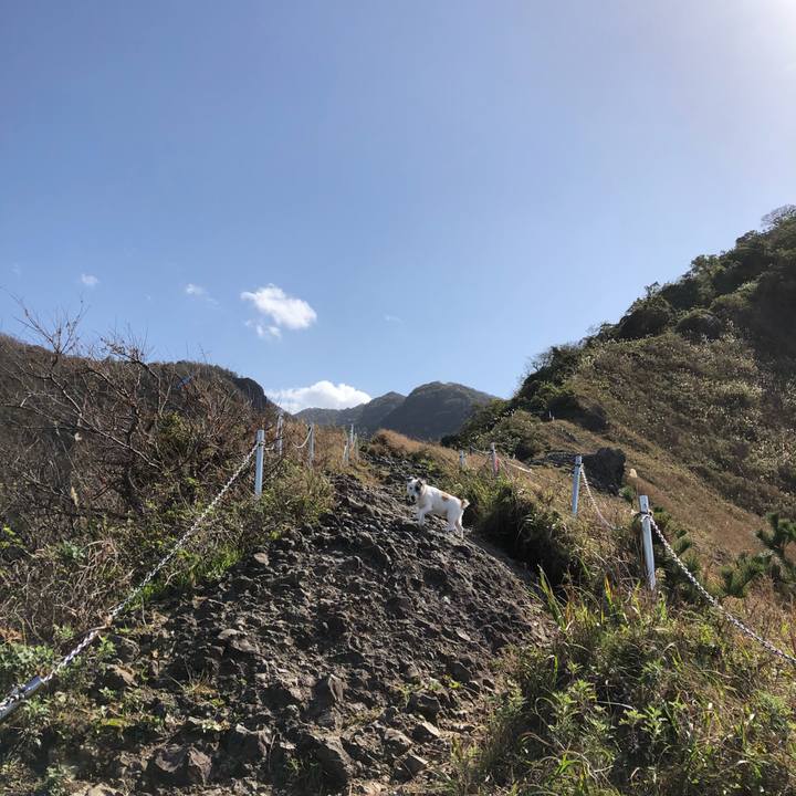 759578a9 2917 4f1e 9905 1d4d4a41acb0 1540453930071