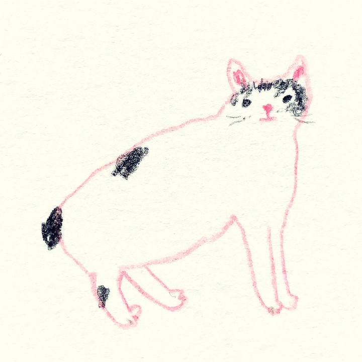 75957a9f c285 42c7 8c3b 1f425c68f0a0 1640820834202