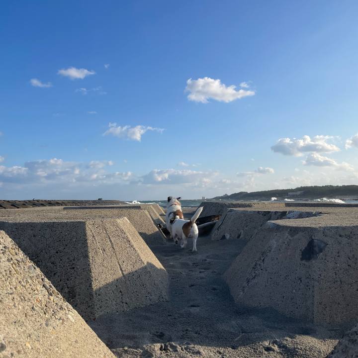 7595bd0b 7635 4a88 974a 745bd75329c4 1730610929254