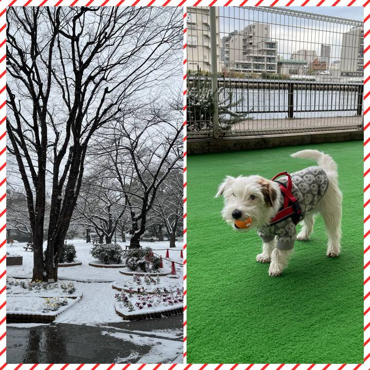 7595ebb4 0d54 46f9 87da 036553ffed34 1770557374382