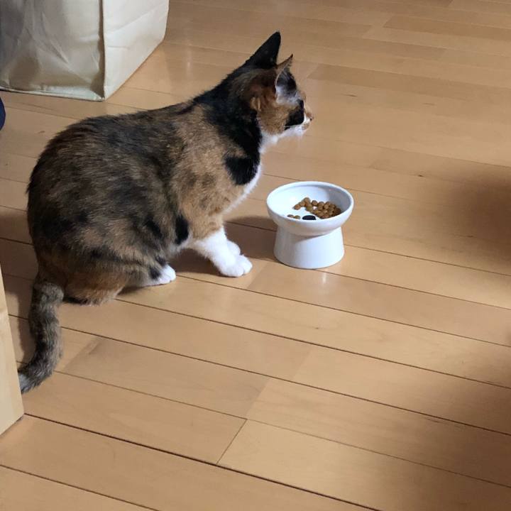 75961a91 88be 4fc2 87a8 0396af032283 1530797433299