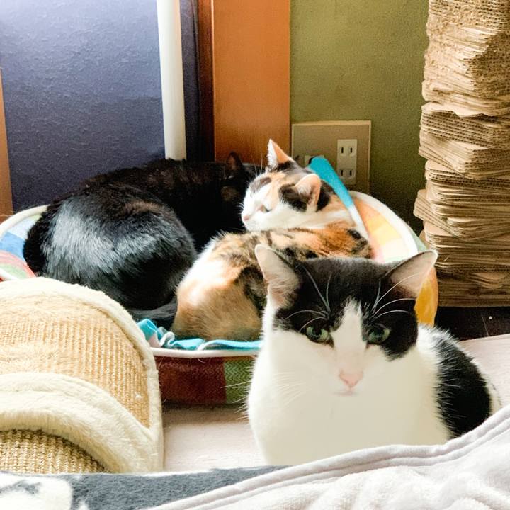 75962358 425c 49e7 a24b 226d6686f2d8 1578537054059