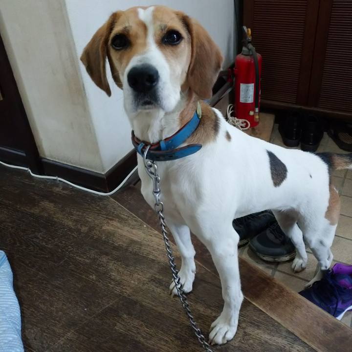 75963fd3 dd0b 4277 80a0 e4f1f7440eee 1605106398959