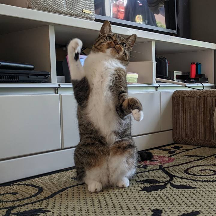 75964481 585f 4368 b202 ed6248ba0834 1689460862286