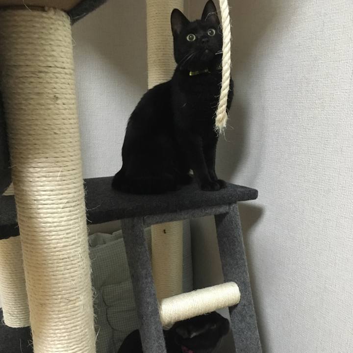 75965067 1f05 4585 83ce b45271c1e326 1534422634163