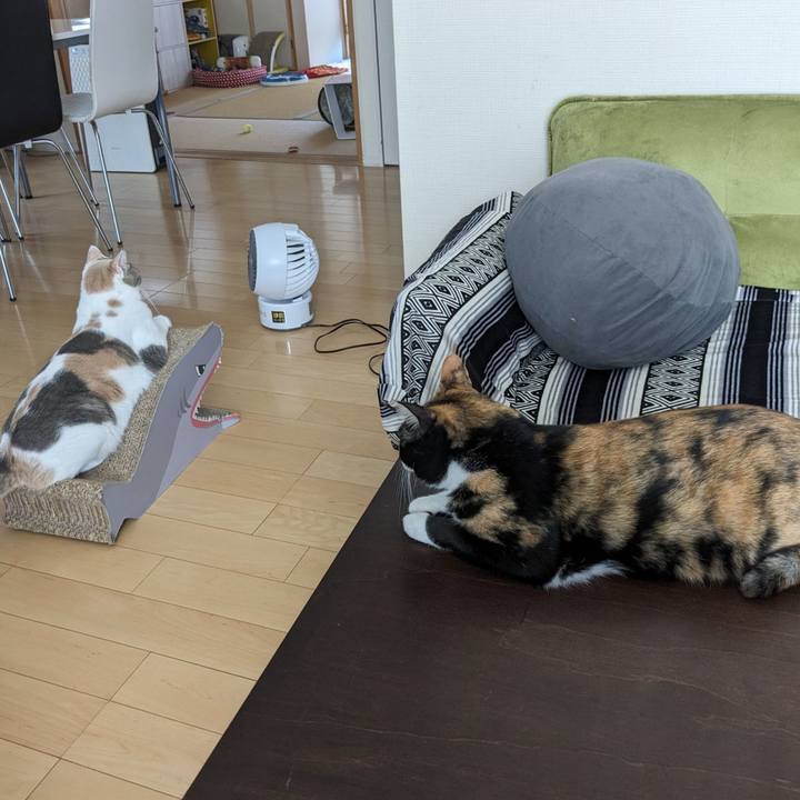 759652ee d1e3 4956 b137 17af81bf477f 1692430427729