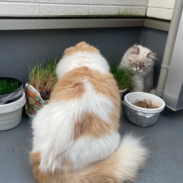 75965e31 4bbc 41e3 92b9 5b8f4d160293 1672288519192