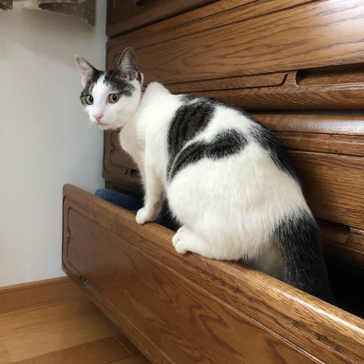 75966322 79d5 4648 b9a9 13c5394e962c 1593516625458