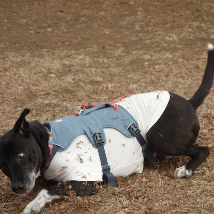 7596b4dc 378e 4568 9198 32a2634910ce 1704158812774