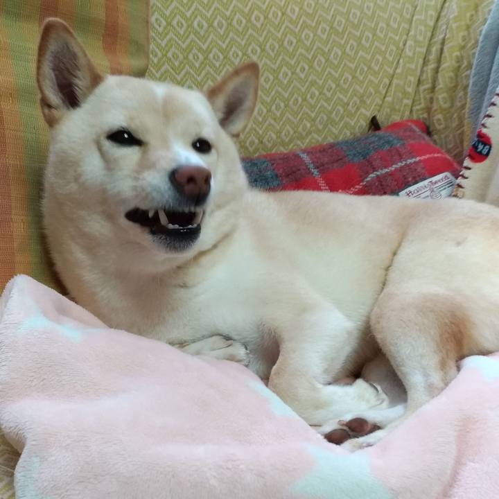 7596c0d8 eadc 40e2 b61f f2c1fc08fde4 1577320477678