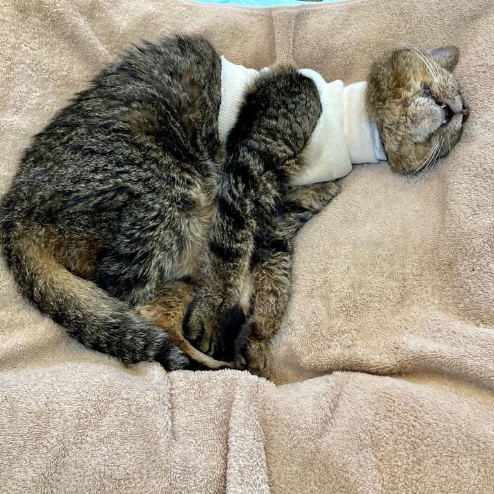 7596ce26 dc50 42f9 a009 a9ecad5c213d 1688451094024