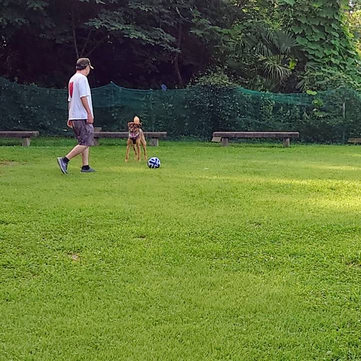 7596ffb3 3cf2 40e7 8dcd 170a9bd7086e 1721438396873