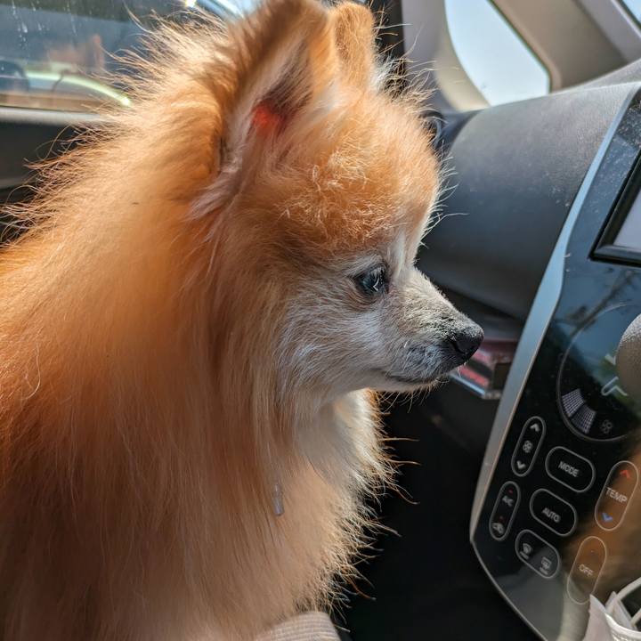 75971cb7 46ca 441c 93e6 500b604d953d 1714297829118