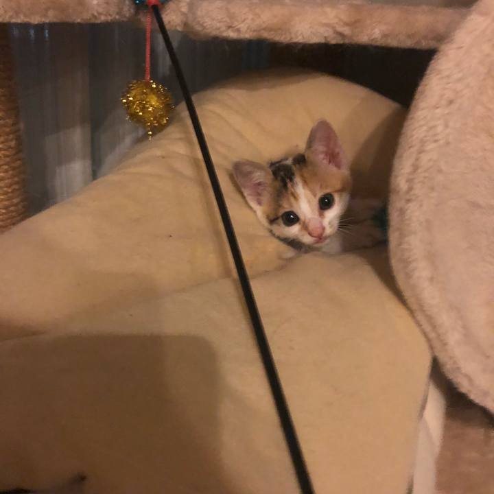 75972d73 3e91 4eaa a3eb b9a1fa753e29 1561299985892