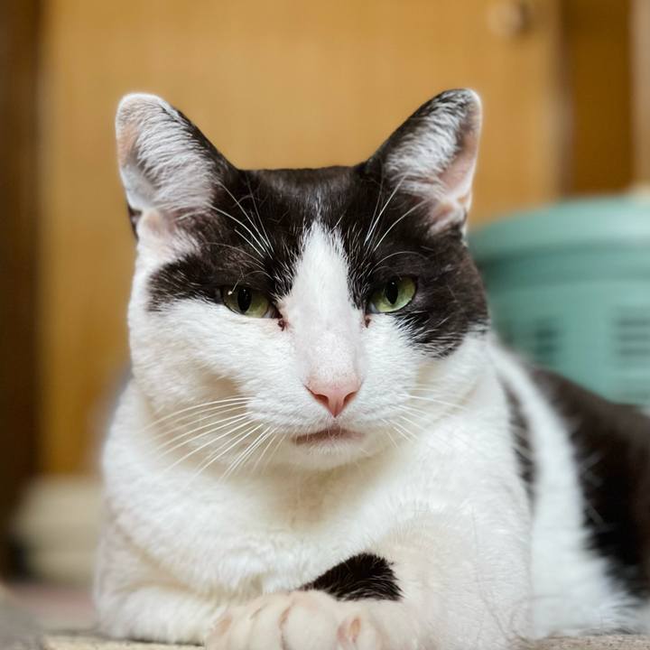 75973057 c2d2 46d6 a90d 0e35d5d7c322 1655173588196