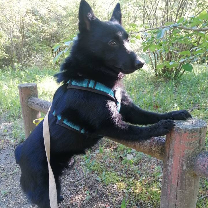 759736f3 67d4 4217 8fc0 0b7205b06ea2 1651530771772