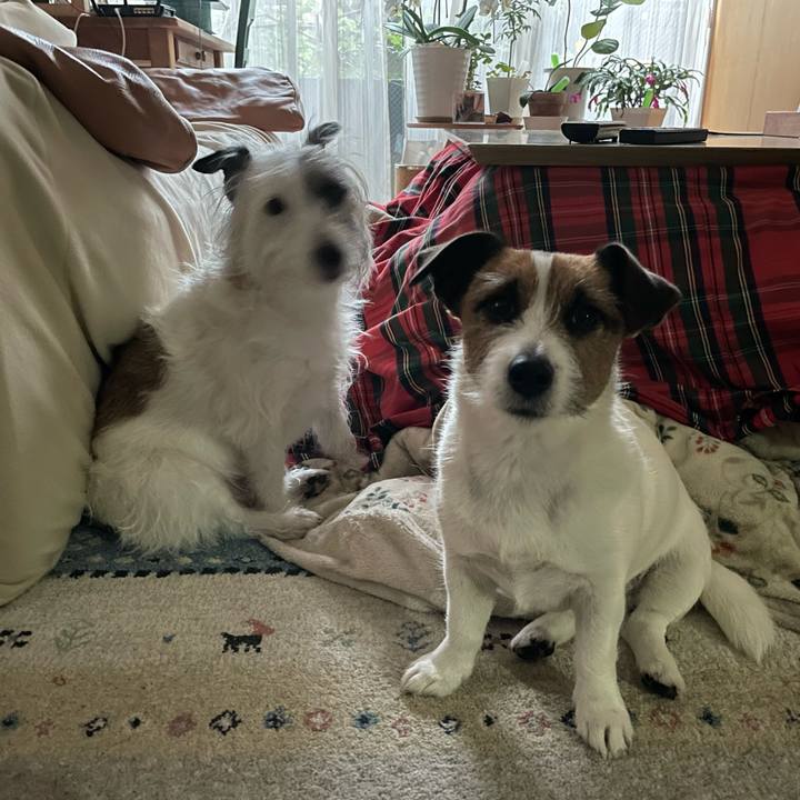 75978049 d82d 4fd2 9429 54b79a171ba3 1709249087223