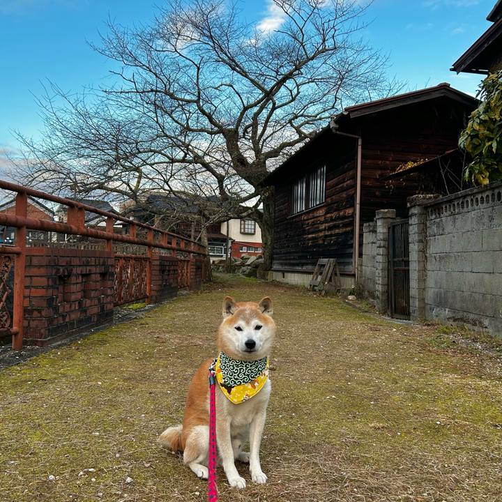 75979dd3 2d4d 4c5c 868e feec979dacf8 1765018189047