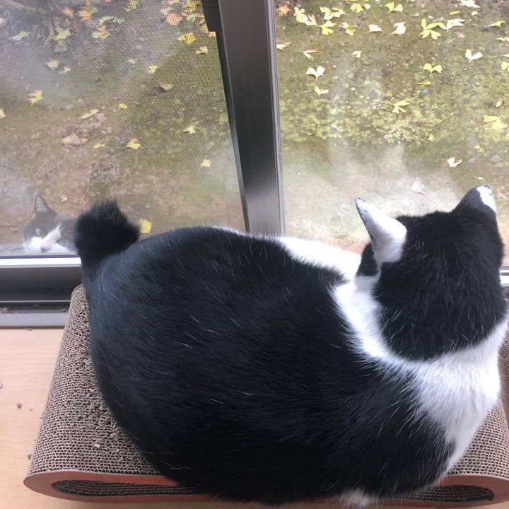 7597ce52 1d6e 4d63 bff2 22dbe70783d5 1607468212824