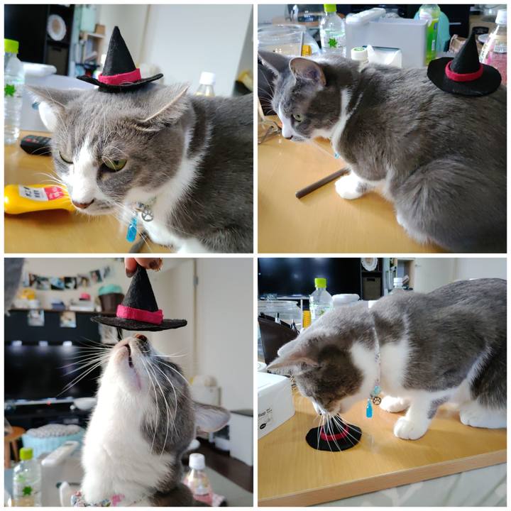 7597e1c2 34aa 4da9 acfb 0d1375fa59ef 1667115129253