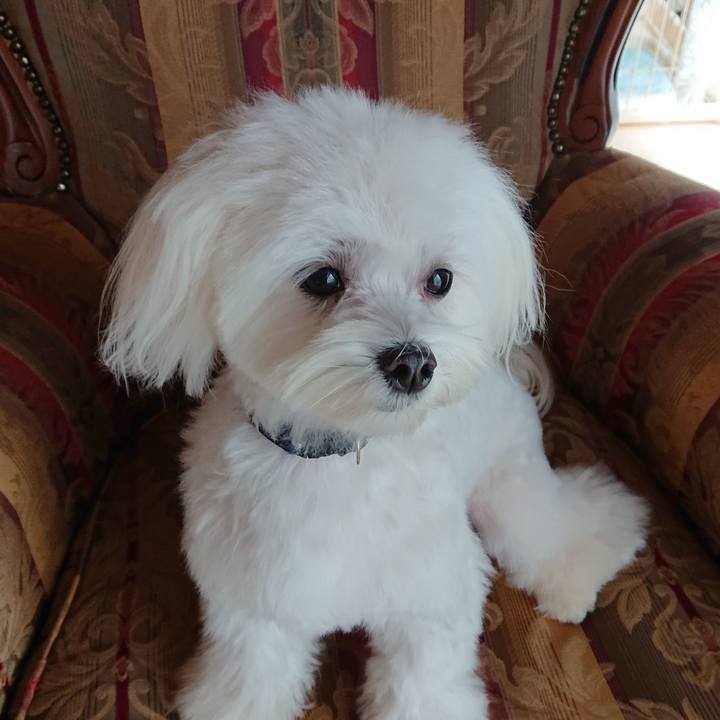 75980a5d 0204 4ea4 a3ab 194dd506c1af 1577067499110