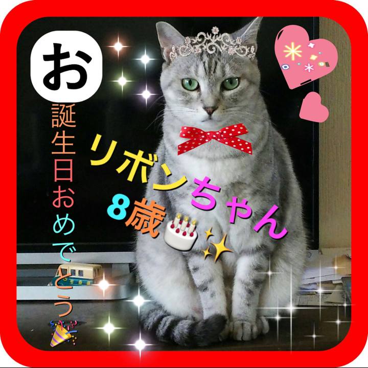 75983e87 530d 470b 9b7f bad1555eb5ff 1548238320545