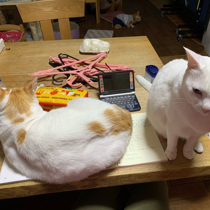 7598bb0d 448e 4357 ac93 f53dc3875f14 1617721021640